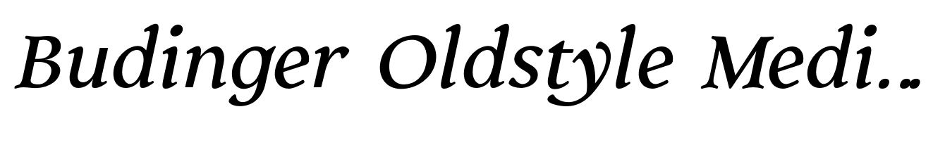 Budinger Oldstyle Medium Italic